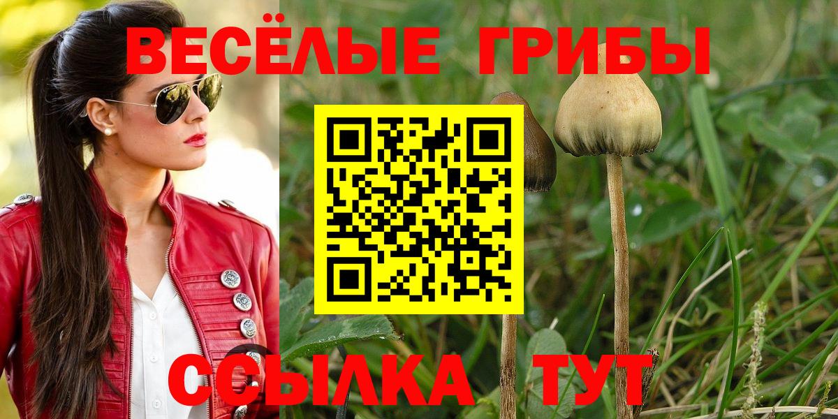 Псилоцибиновые грибы мухоморы Полевской