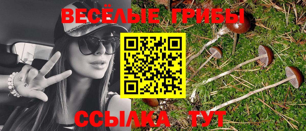 Галлюциногенные грибы ЛСД  Псилоцибиновые грибы Magic Shrooms  Полевской  Вход с VPN 